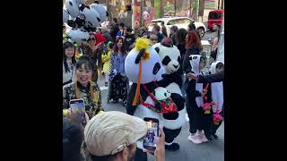 🍁 Autumn Moon Festival Parade 2024 Grant Avenue Chinatown San Francisco California 🌙 [upl. by Block]