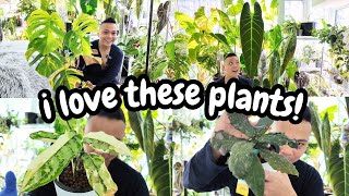 NEW plant growth 🌱 amp NEW camera 🎥  watering moss poles updates  philodendron monstera hoya [upl. by Dinnie406]