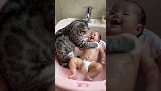 Funny Cat Mind Voice funny cat catvideos comedy shortsfeed shorts funnyanimal animals [upl. by Eelyac]