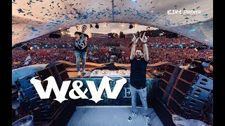 WampW Drops Only  Tomorrowland 2018 Mainstage [upl. by Taber963]