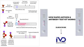 Rapid Diagnostic Tests RDTs Principle Schematic 3D Diagram PartsLateral Flow AssayIVD KITS [upl. by Odraner521]