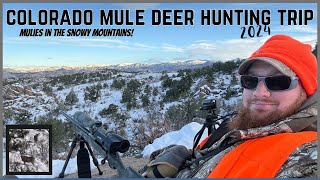 Colorado MULE DEER hunting trip Day one and 1 buck down [upl. by Arah]