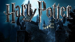 Harry Potter  Hogwarts Gate  Music amp Ambience 4k [upl. by Ranit]