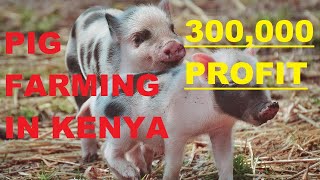 Starting a Profitable Pig Farm in Kenya Complete Guide amp Budget Breakdown [upl. by Joerg]