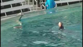 Sea World Shamu kills trainer VIDEO [upl. by Nodyarb88]