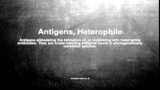 Medical vocabulary What does Antigens Heterophile mean [upl. by Dwight123]