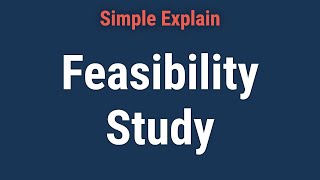 How Does a Feasibility Study Work [upl. by Weig]