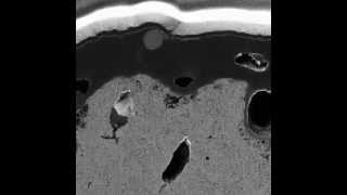 A EsB AURIGA ZEISS fieldemission scanning electron microscopy FESEM focused ion beam FIB [upl. by Garzon]