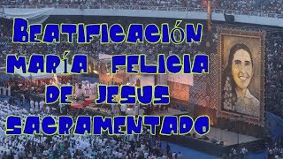 Beatificación de Chiquitunga  23 de Junio de 2018 VLOG 1 [upl. by Claribel795]