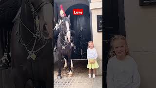 Lovely moment king guard horse horse royalhorseguard horseguard tourist [upl. by Anilam688]