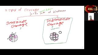 17 Nov2021 L2 Types of Cleavage OTBO fate of Blastomeres Determinate and Indeterminateamp Twins [upl. by Ora]