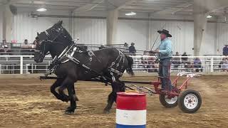 Kansas State Fair Draft Horse Show  Team Barrel Racing  972024 [upl. by Ellard]