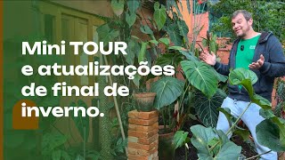 TOUR de PLANTAS e atualizações do Jardim Onírico nesse inverno [upl. by Lemmie570]