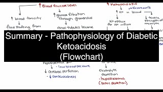 Pathophysiology of Diabetic Ketoacidosis Flowchart [upl. by Nennahs173]