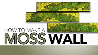 How to make a large moss wall installation [upl. by Cuhp]