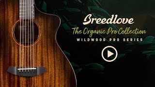 Breedlove Organic Collection Wildwood Pro Guitar Series with Designer Angela Christensen [upl. by Noonberg]