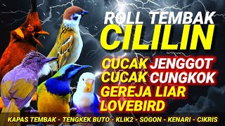 Kompilasi MASTERAN Burung Murai Batu Kacer Cucak Ijo Cendet FULL TEMBAKAN RAPAT AUDIO JERNIH 039 [upl. by Cimbura877]