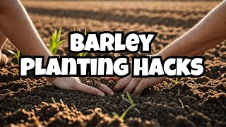 Top 10 Techniques to Plant Barley [upl. by Blair702]