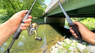 Fishing the CREEK Eating Whatever I Catch Catch and Cook [upl. by Nitnert]