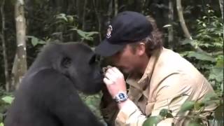 Man Reunites With Gorilla He Raised As His Son [upl. by Neda48]