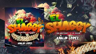 “EL SHAGGY” —— ADALID LÓPEZ Y GRUPO GAFES DE GUERRA [upl. by Katherine697]