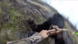 SCARY FOOTAGE Bear VS Hunter [upl. by Alema]