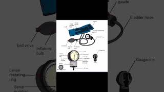 Parts of sphygmomanometer BP apparatus medical shorts [upl. by Francesca]