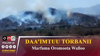 Daa’imtuu Torbanii Marfama Oromoota Walloo [upl. by Lucky232]