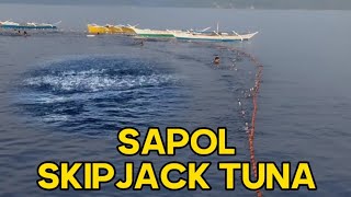 SAPOL SKIPJACK TUNA [upl. by Negroj]