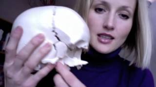 NeuroCranial Restructuring NCR Orientation Video with Dr Hillary Lampers [upl. by Eilitan]