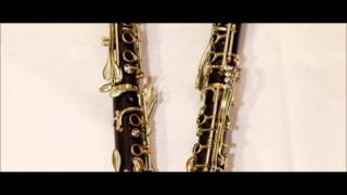 Les deux amis polka pour 2 clarinettes [upl. by Stacee]