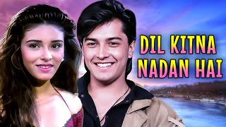 Dil Kitna Nadan Hai 1997  Full Movie  Superhit Bollywood Movie  Raja Bherwani Raageshwari [upl. by Amlev]