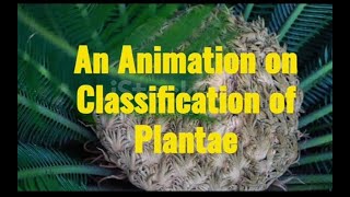 Classification of plant kingdom [upl. by Aiotal]