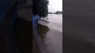 Tsunami in the morning the river ang lakas [upl. by Norvall671]