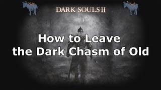 Dark Souls 2 How to leave the Dark Chasm of Old [upl. by Allisirp]