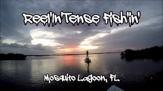 ReelInTense FishIn  Mosquito Lagoon  Redfish [upl. by Ahsilyt]