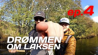 Mistefest  ep4  Drømmen om laksen  Etneelva Norway [upl. by Beckie]