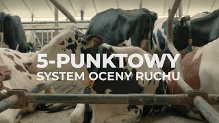 Audyt dobrostanowy  5punktowy system oceny ruchu [upl. by Maighdlin808]