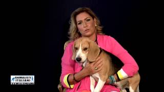 wwwanimalistiit  SPOT ROMINA POWER  NO SPERIMENTAZIONE [upl. by Anua647]