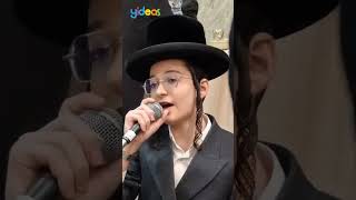 🎶 זאת התורה  בנצי קלצקין Bentzi Kletzkin Sings Zot Hatorah [upl. by Dnalkrik]