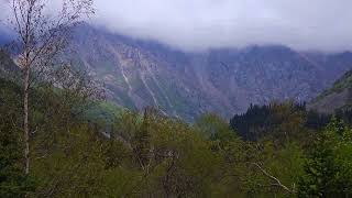 Rainy day in mountain National Park in Kyrgyzstan [upl. by Arahahs210]