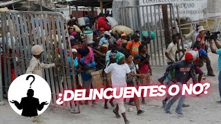 ¿corremos peligro con los imigrantes haitianos [upl. by Aliuqet]