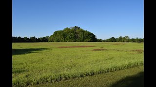 Ingomar Mounds in Mississippi [upl. by Nanaj]