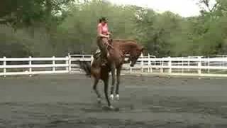 Bucking Horse with Female Rider [upl. by Heater702]