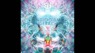 The Underachievers  Indigoism Extended Full Mixtape  Download [upl. by Nirtak]