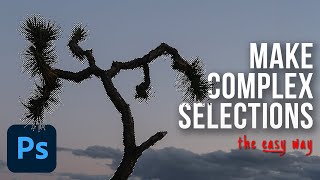 How to Make Complex Selections in Photoshop [upl. by Inacana]