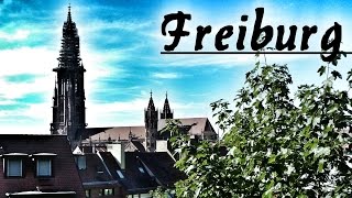 Freiburg im Breisgau Sehenswürdigkeiten in 3 Stunden ᴴᴰ [upl. by Eednar]