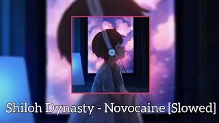 Shiloh Dynasty  Novocaine Slowed [upl. by Mag]