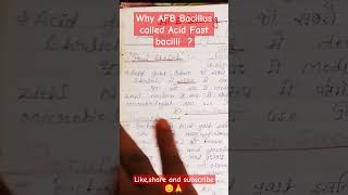 AFB Staining AFB Bacilli ko acid fast kyu bolte haimedical microbiology biology viralshort [upl. by Baily]