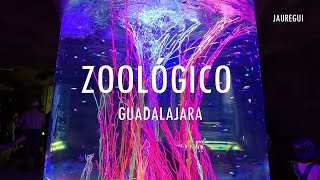 Zoológico de Guadalajara [upl. by Hubie528]